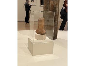 CONSTANTIN BRANCUSI (French, born Romania. 1876–1957) Torso of a Young Man 1923