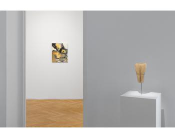 Installation shot, Photo. Paris Tavitian © Museum of Cycladic Art