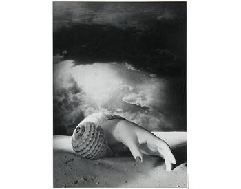 Dora Maar, Sans Titre (Main-coquillage) (1934)